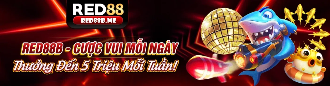 Các sản phẩm giải trí của vswin code
