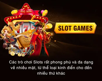 Tổng quan về vswin code