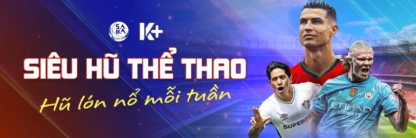 Hoàn trả hàng tuần vswin code